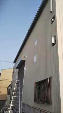 DSC_7251s.jpg